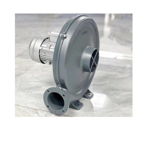 Portable Free Standing Air Blower Fan Sales Support Type Online Warranty YEAR Service Centrifugal Provided Specification